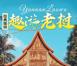 【趣游老撾 · 經(jīng)典版納】—昆明、普洱、西雙版納、磨丁、瑯勃拉邦四動(dòng)8日游